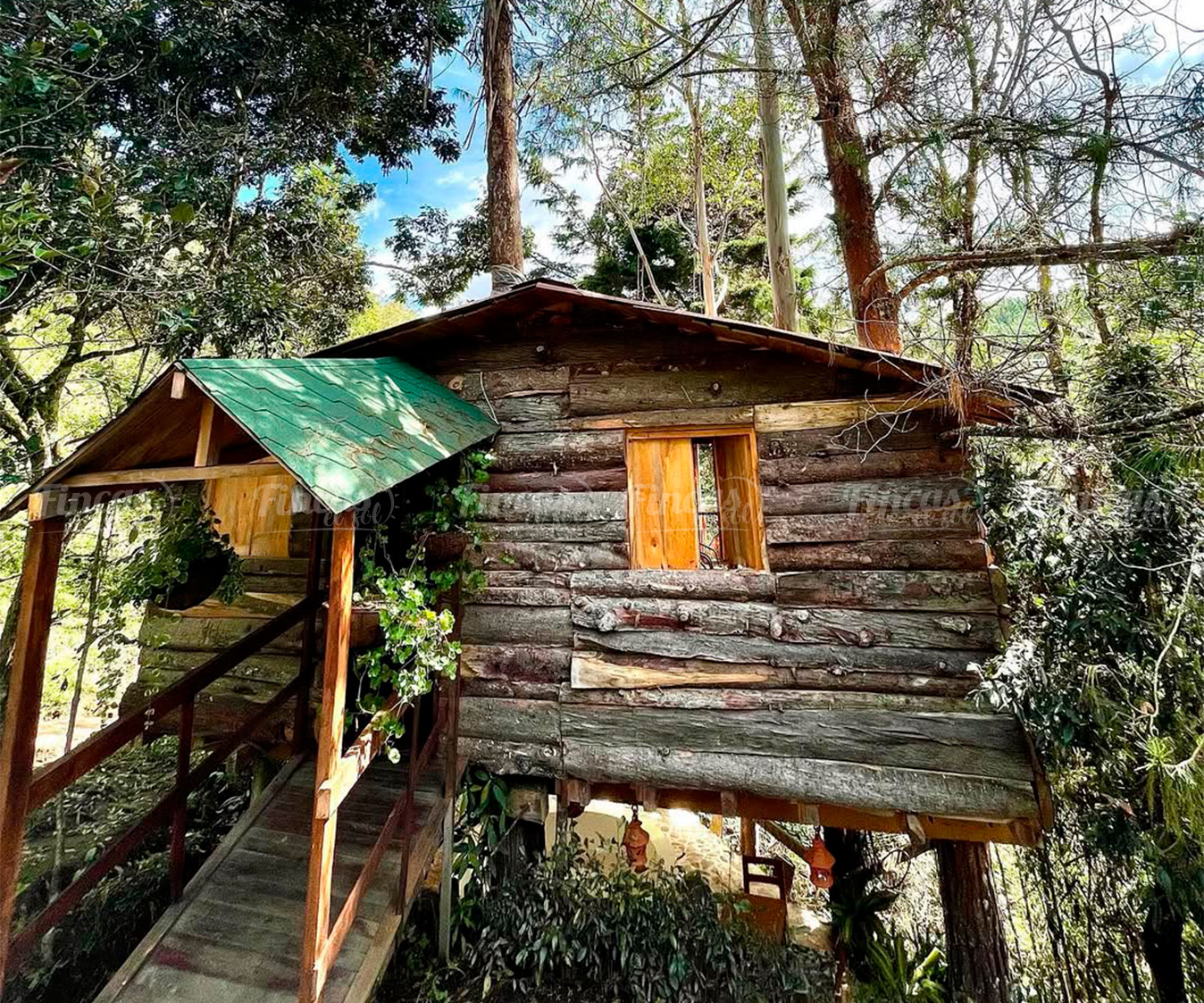 cabañas-cerca-a-medellin-guarne-antioquia-glamping-luxury-cabñ-003-4